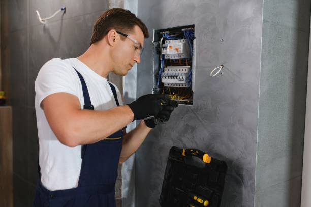 Best Electric Panel Repair  in Shepherd, MI
