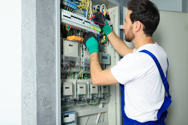 Best Electrical System Inspection  in Shepherd, MI