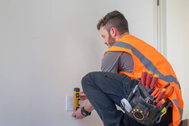 Best Affordable Electrician  in Shepherd, MI